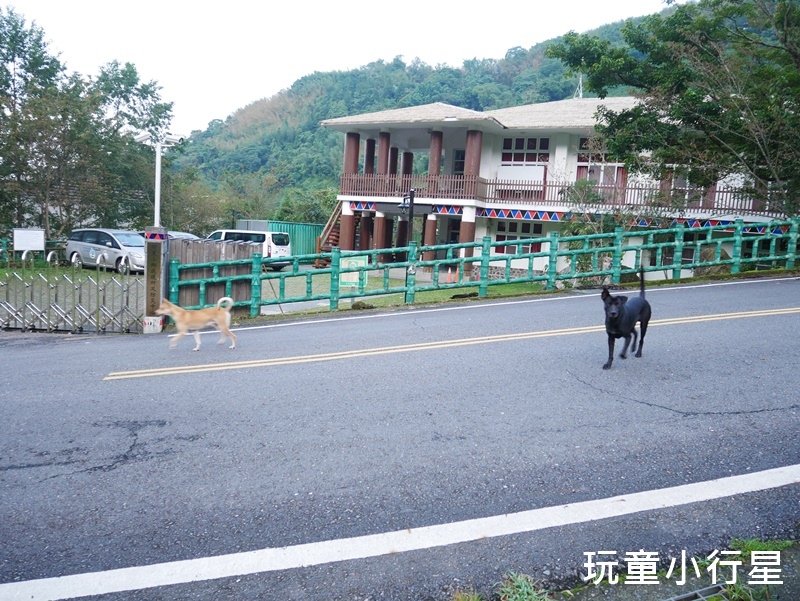 嘉義迷糊步道3.JPG