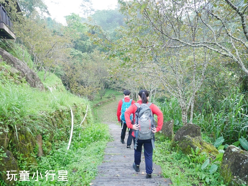 嘉義迷糊步道4.JPG