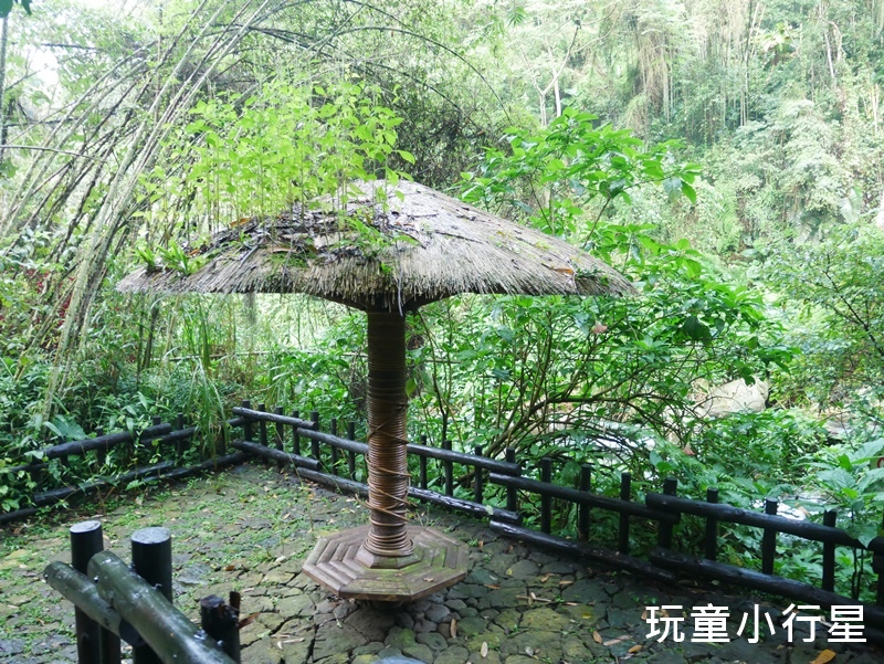 嘉義迷糊步道18.JPG