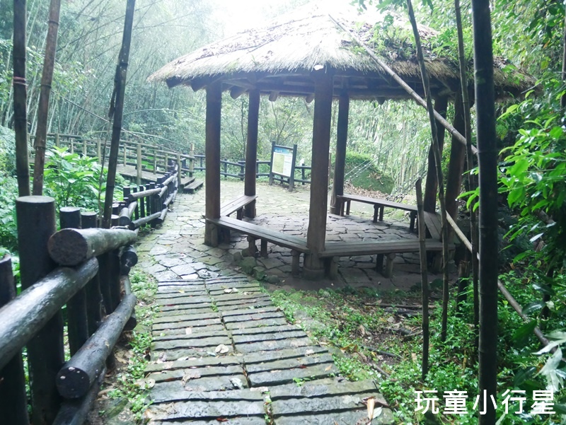 嘉義迷糊步道19.JPG