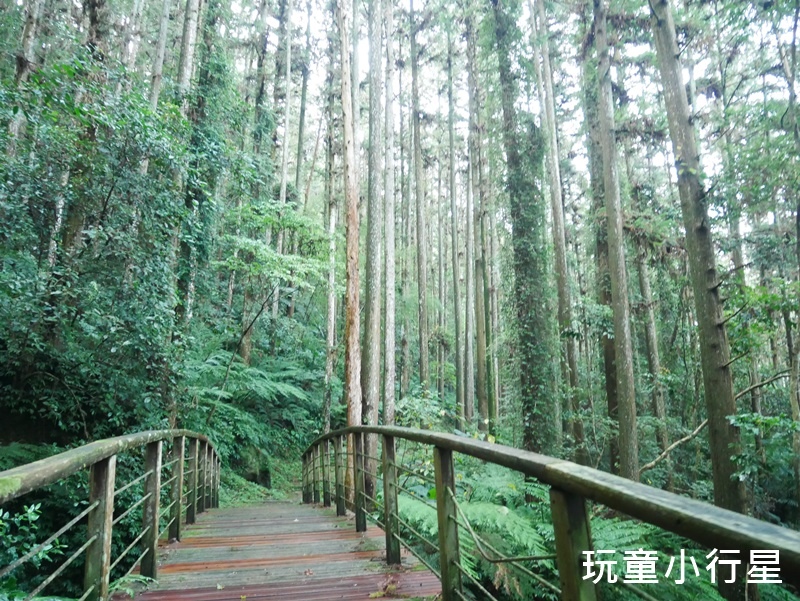 嘉義福山古道3.JPG