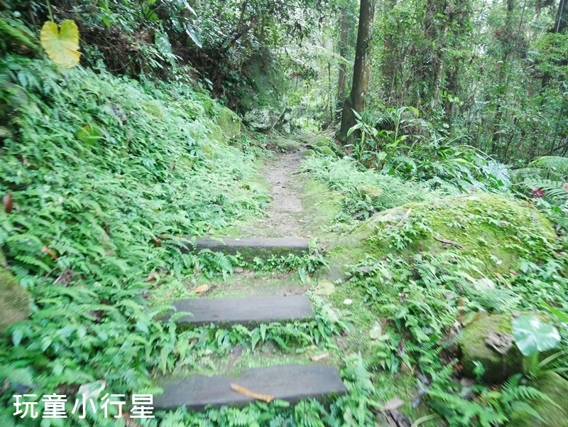 嘉義福山古道1.JPG