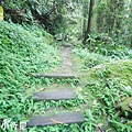 嘉義福山古道1.JPG