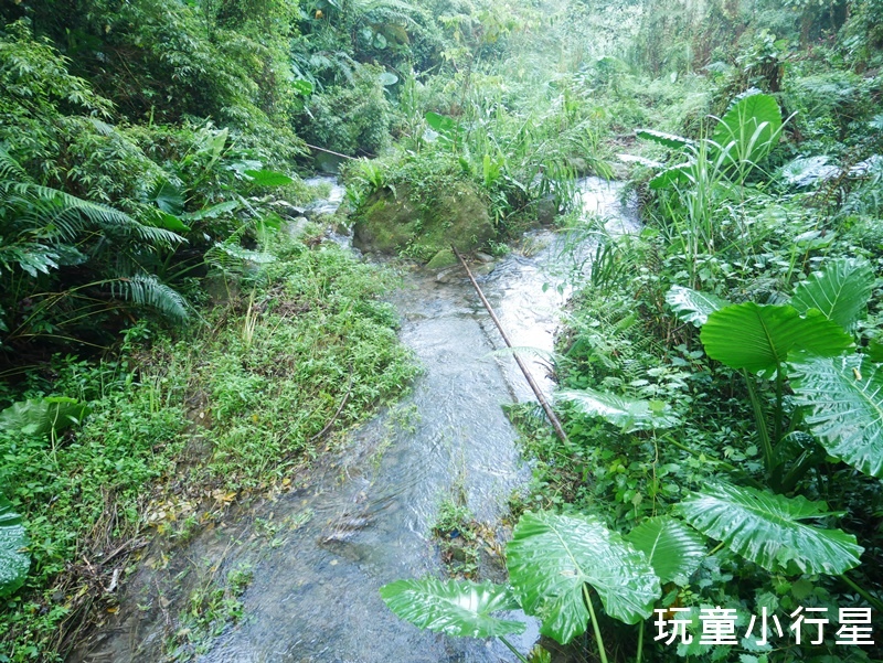 嘉義福山古道4.JPG