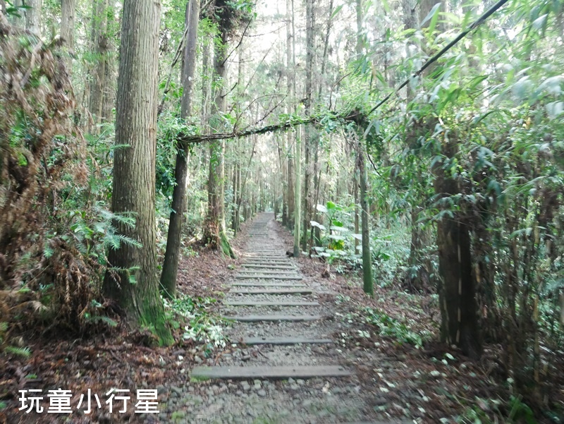 嘉義福山古道6.JPG