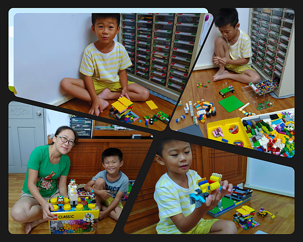 lego10698.png
