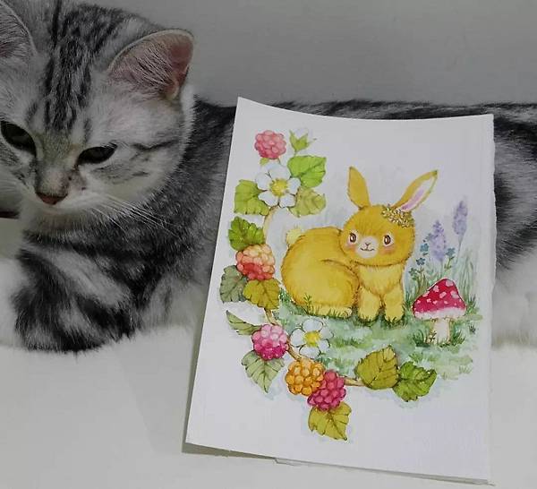 【自學插畫】水彩畫兔子