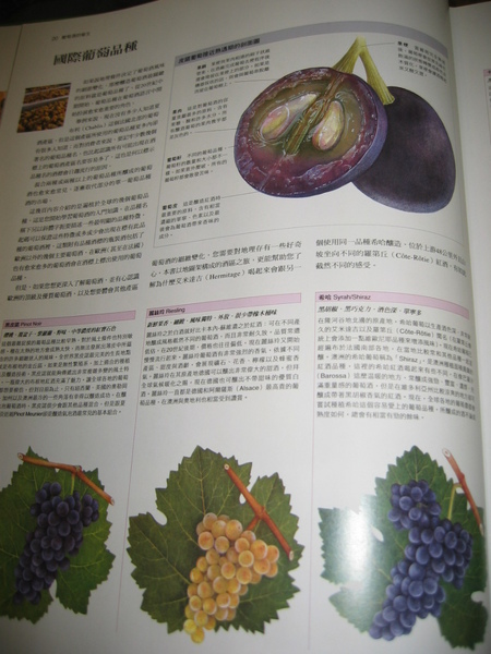 The World Atlas of Wine_5.JPG