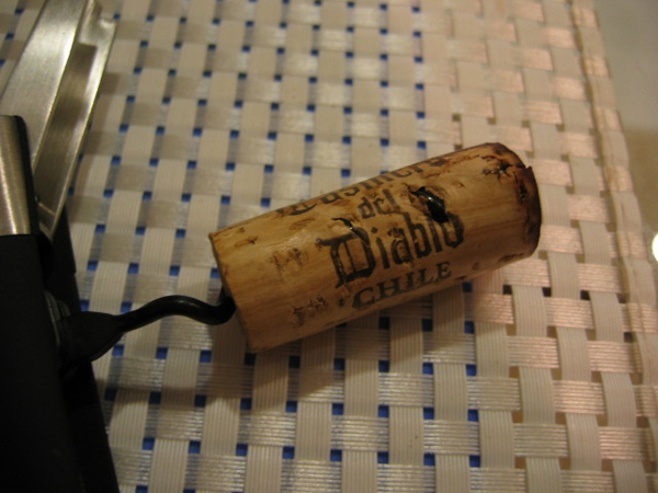 Casillero del Diablo Merlot 2006_5.JPG