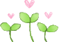 80 80