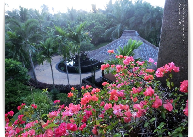 130606~Bali_08 130606~Bali_08