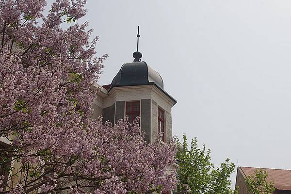 IMGP1513 IMGP1513