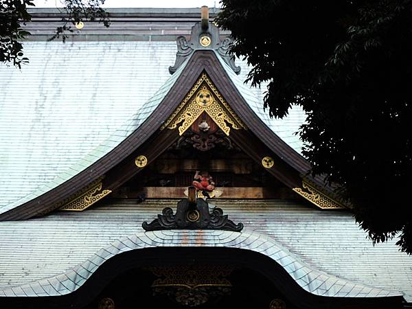 DSCN0653 DSCN0653
