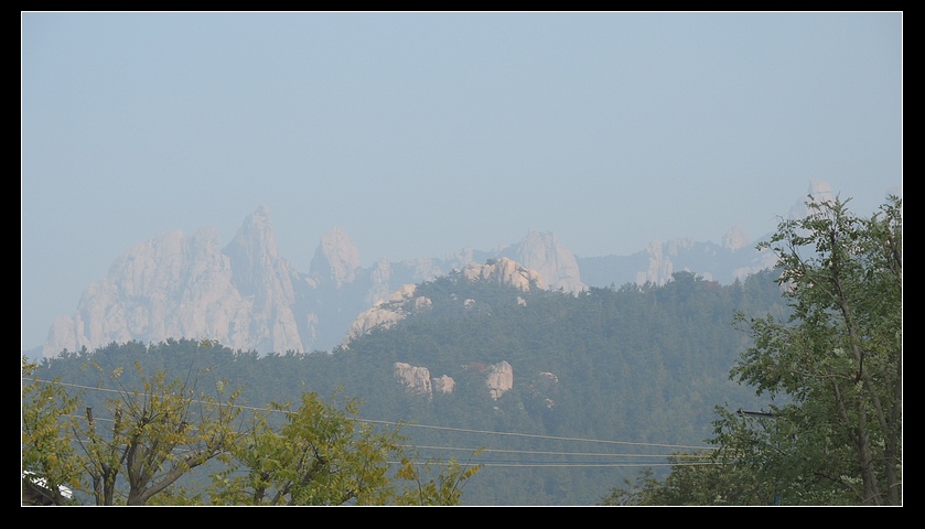 DSCN2193 DSCN2193