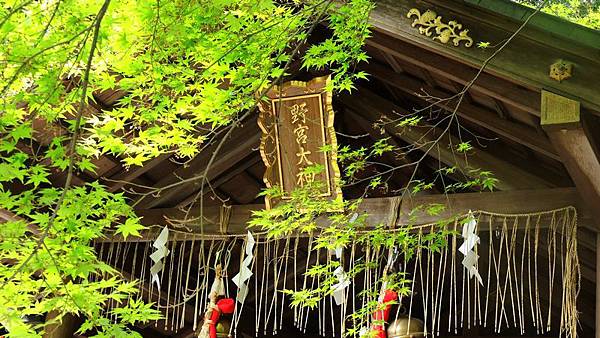 DSCN2954 DSCN2954
