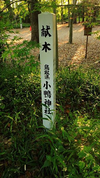 DSCN3356 DSCN3356