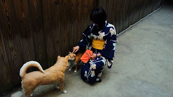 DSCN4140 DSCN4140