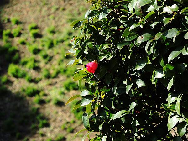 DSCN7308 DSCN7308