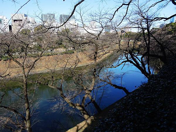 DSCN7351 DSCN7351