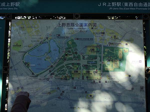DSCN7493 DSCN7493