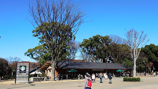DSCN7521 DSCN7521