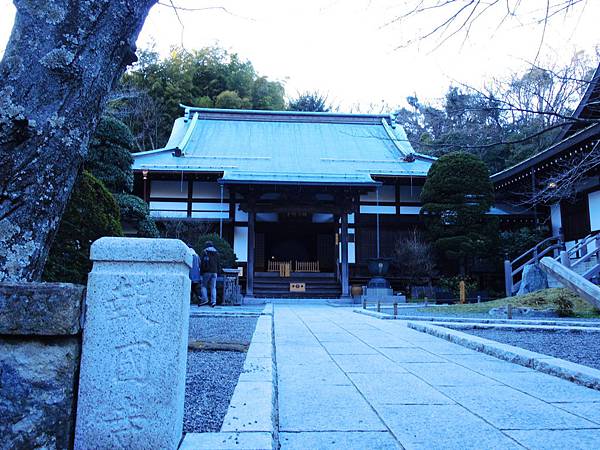 DSCN7795 DSCN7795