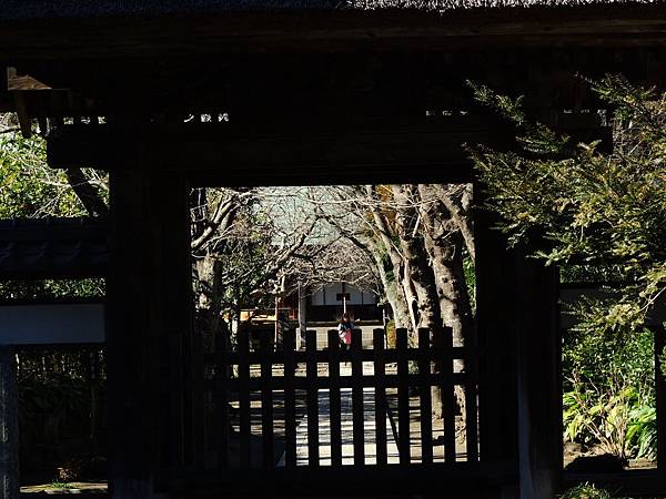 DSCN8018 DSCN8018