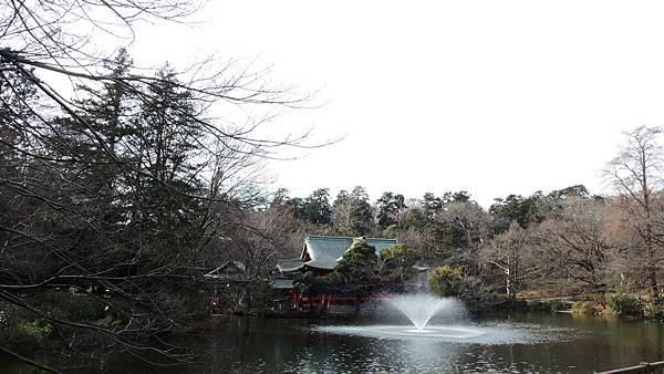 DSCN8545 DSCN8545