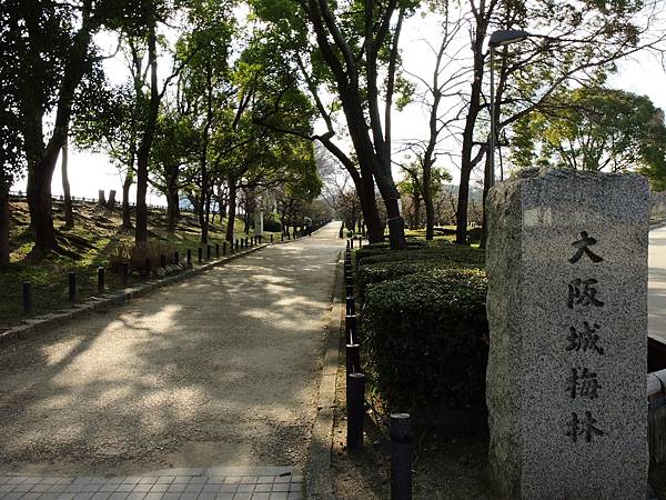 DSCN8561 DSCN8561