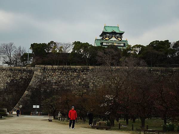 DSCN8587 DSCN8587