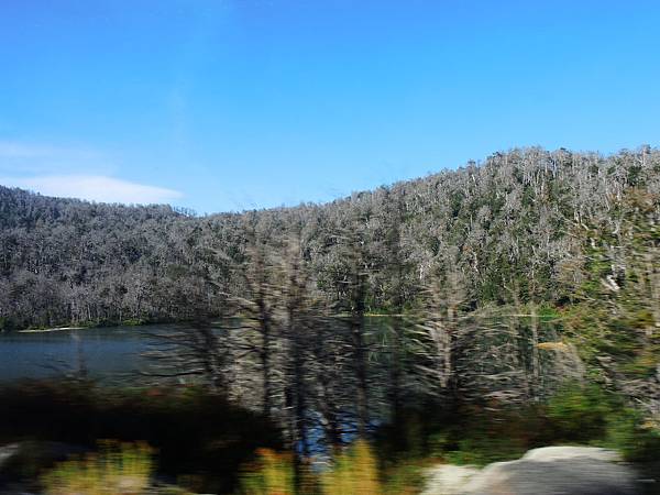 DSCN7993 DSCN7993
