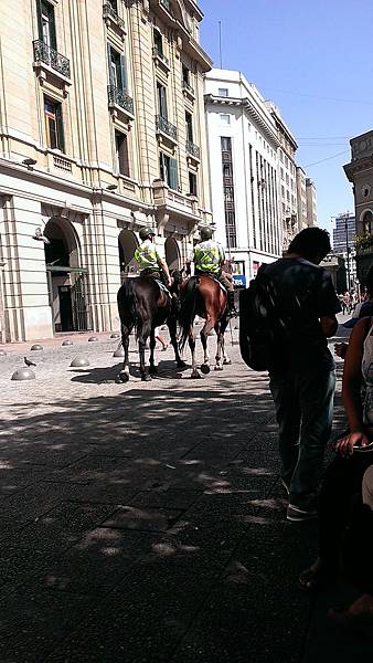 IMAG7074 IMAG7074