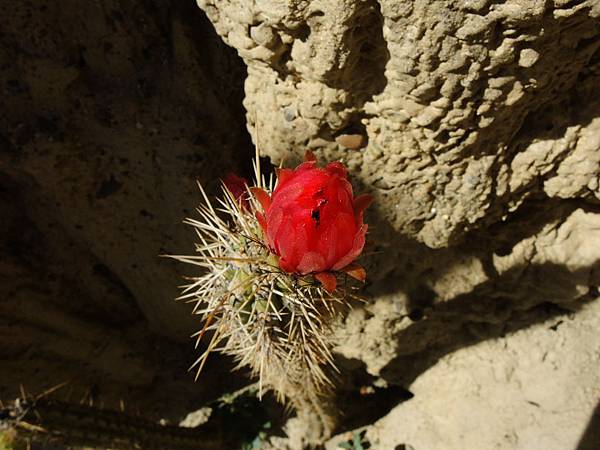 DSCN1864 DSCN1864