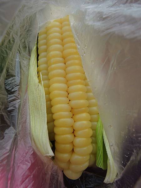 DSCN3183 DSCN3183