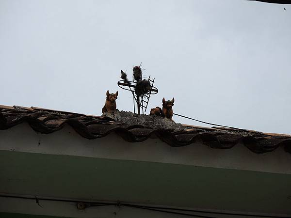 DSCN3227 DSCN3227