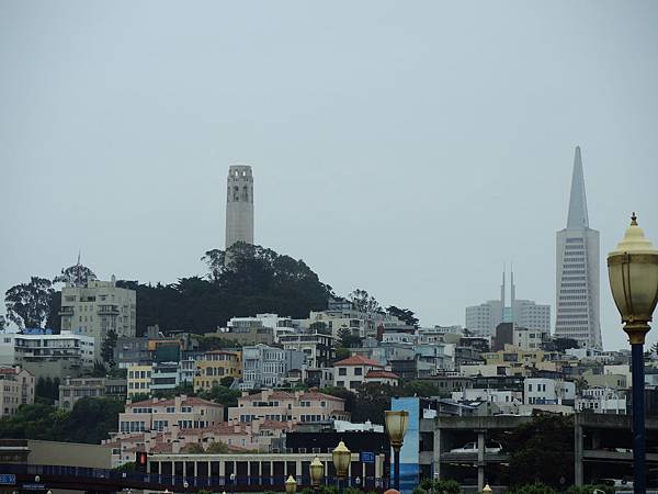 DSCN7222 DSCN7222