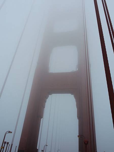DSCN7639 DSCN7639