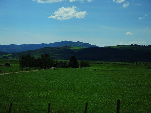 DSCN8512 DSCN8512