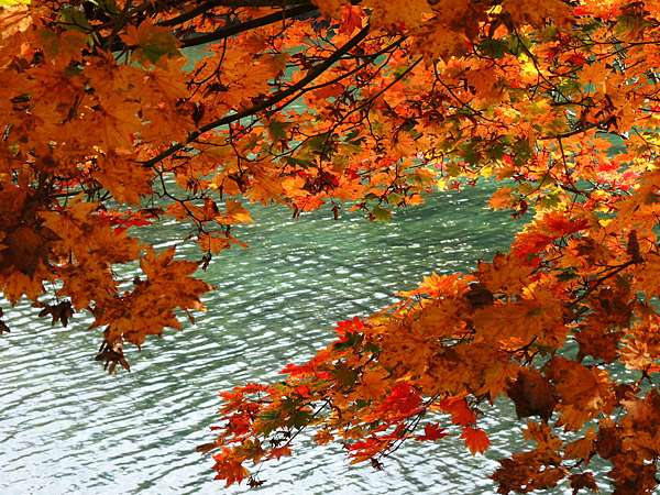 日本東北追紅葉記 10 23五色沼 喜多方拉麵 心境 痞客邦 日本東北追紅葉記 10 23五色沼 喜多方拉麵 心境 痞客邦