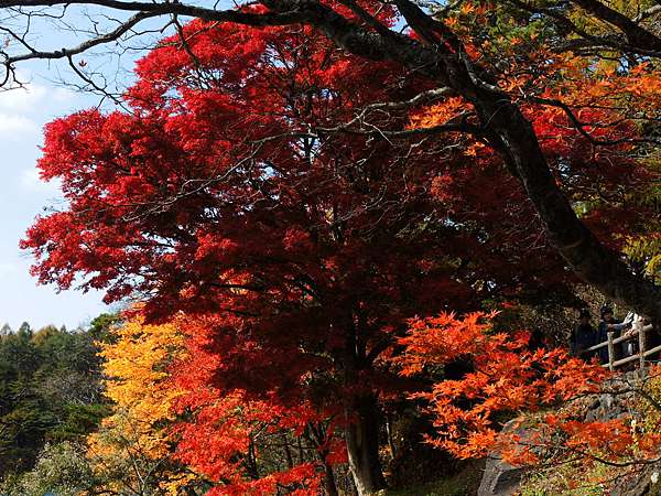 日本東北追紅葉記 10 23五色沼 喜多方拉麵 心境 痞客邦 日本東北追紅葉記 10 23五色沼 喜多方拉麵 心境 痞客邦