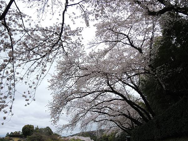 DSCN1325 DSCN1325