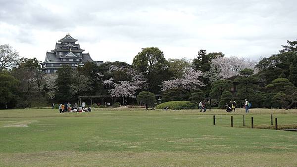 DSCN1417 DSCN1417