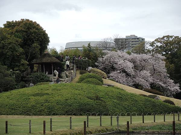 DSCN1416 DSCN1416