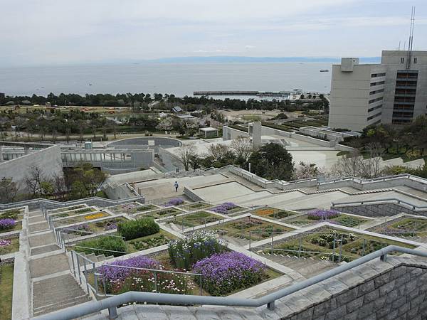 DSCN1553 DSCN1553