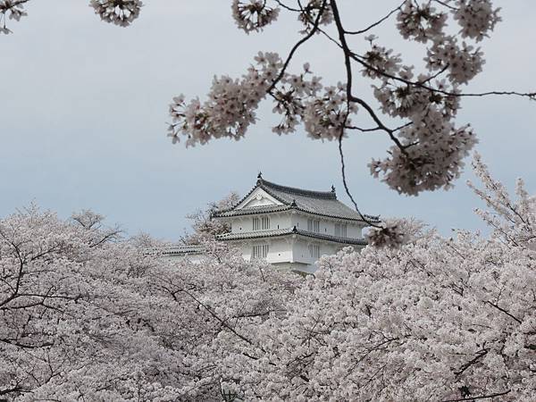 DSCN1642 DSCN1642