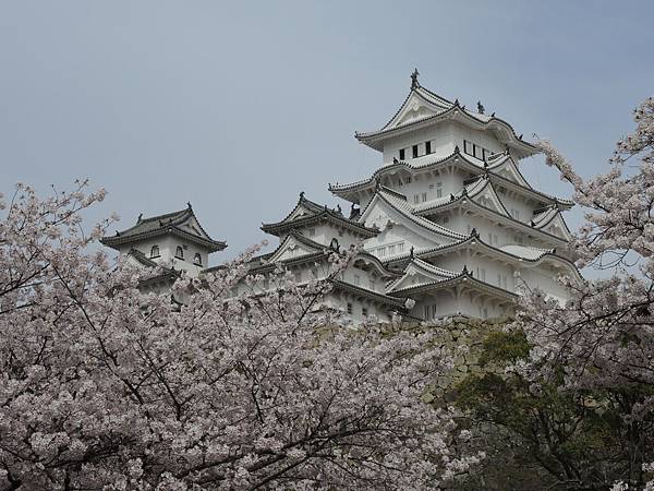 DSCN1654 DSCN1654