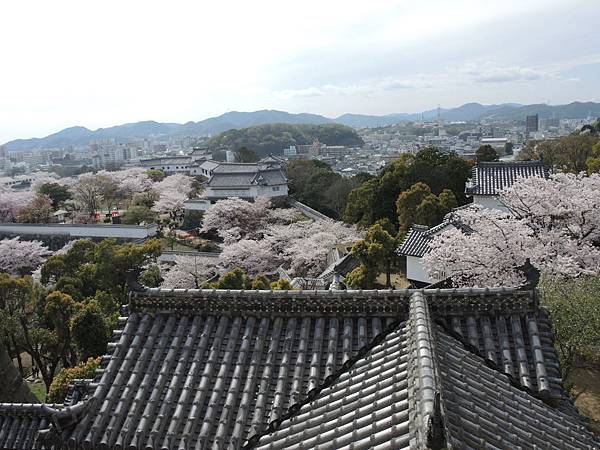 DSCN1676 DSCN1676