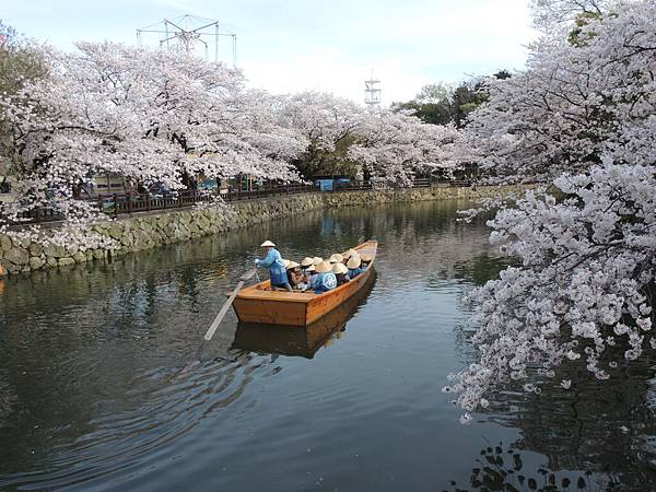DSCN1754 DSCN1754