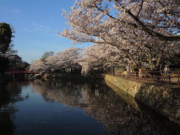 DSCN1856 DSCN1856