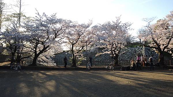 DSCN1867 DSCN1867